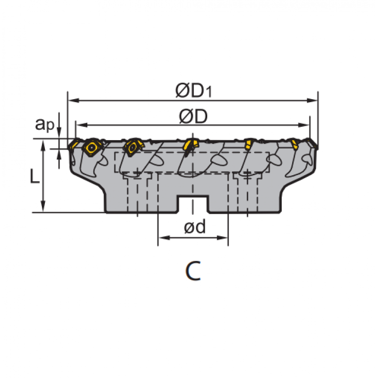 FMA01-250-C60-SE18-10 Корпус фрезы ZCC-CT